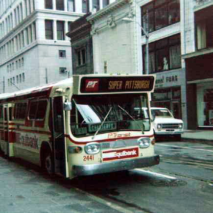 2441head